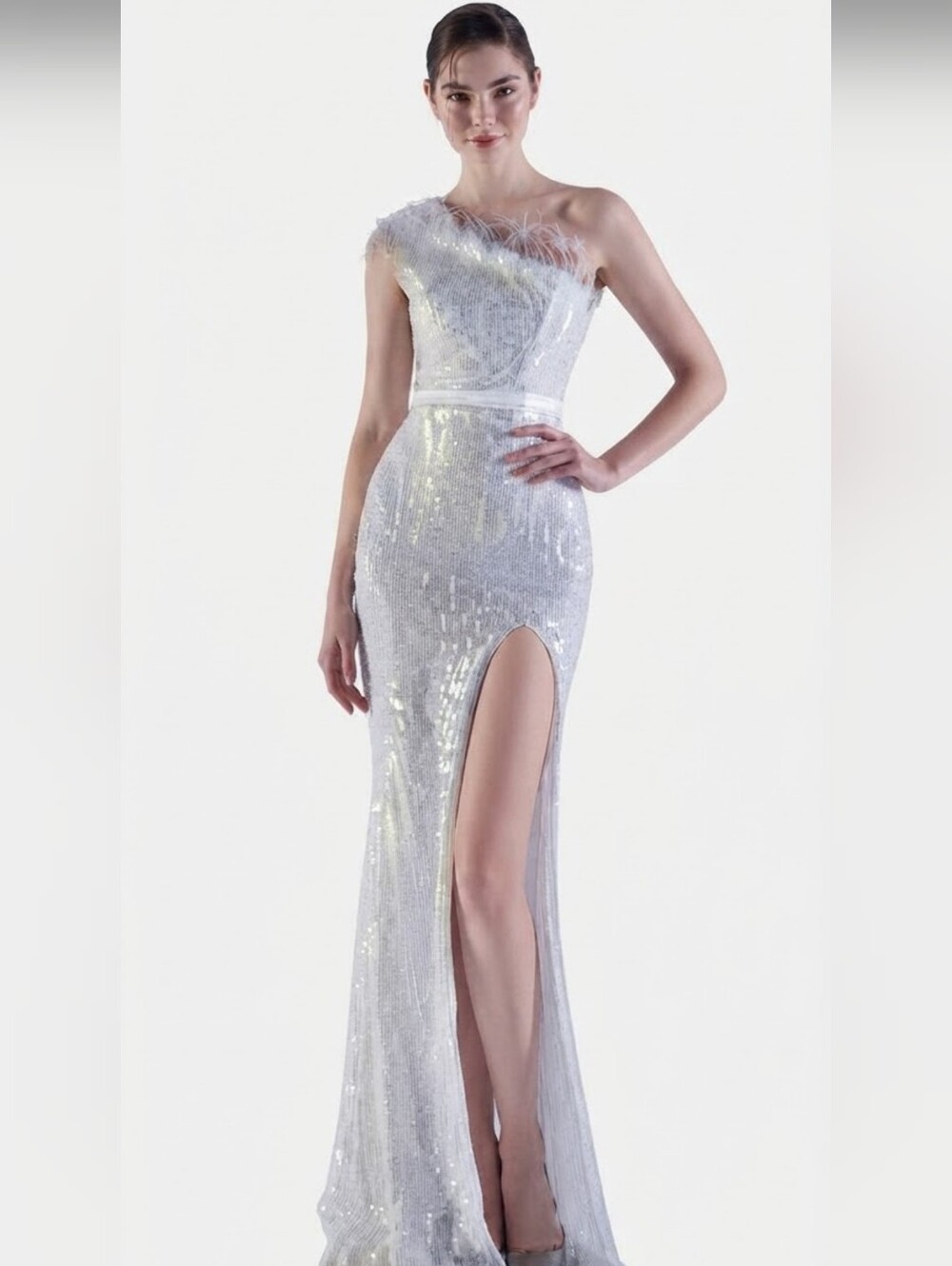Opalescentl,Ostrich Feathers, Beaded, Geo ,Sequined Gown- CUSTOM MADE